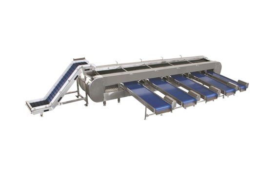 Dates Sorting Machine/Peanut Sorting Machine/Bean Sorting Machine