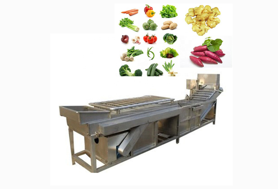 steam blanching machine for vegetable and fruit processing