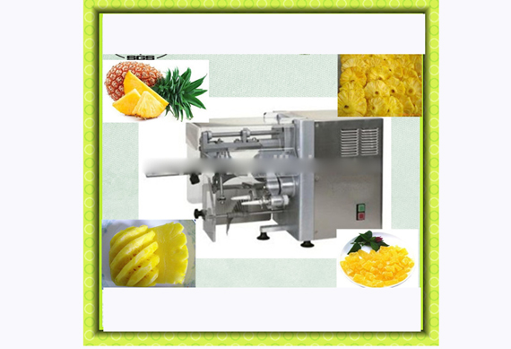 pineapple peeling and coring machine/automatic pineapple peeling equipment
