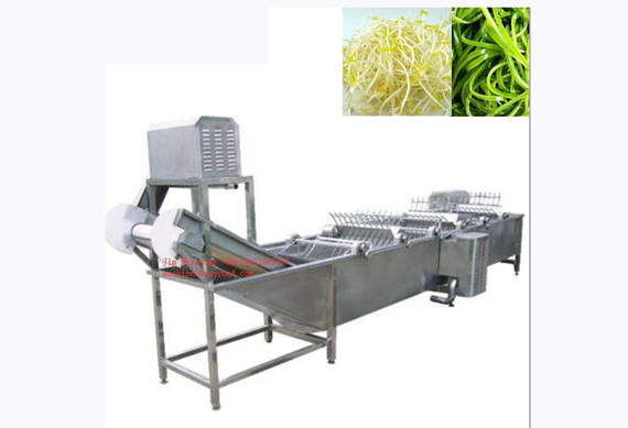 Vegetable Fruit Washing Machine/Vegetable cleaning machine/Stainless steel fruit washer