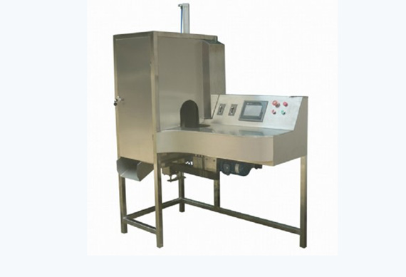 automatic mango peeling and pietting machine