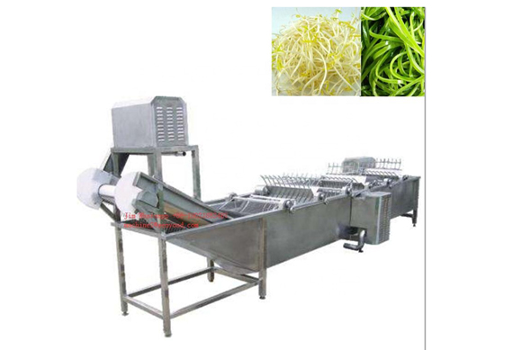 seaweed washing machine/Industrial washing drying machine/seaweed nitrate packaging machine