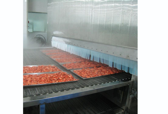 Frozen fruit machinery / vegetable quick freezing equipment / individual quick freezer