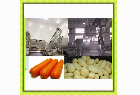 Steam potato Peeling Machine/potato Peeler/Production Line