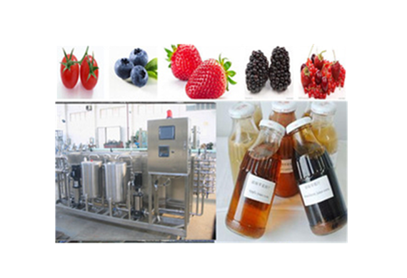 Raspberry Strawberry Juice Processing Machine/Hot Filling Machine