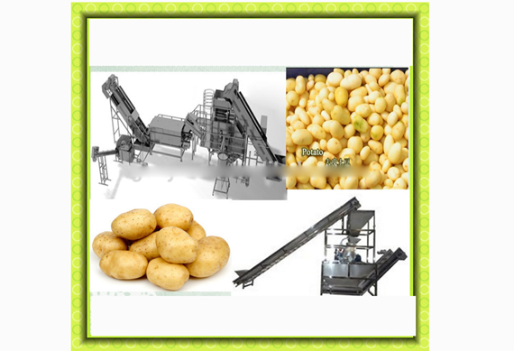 Factory price Steam Potato Peeling Machine/steam carrot peeler with advanced design