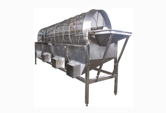 High efficiency green olive grading machine / olive classifier