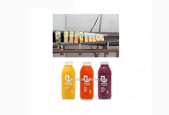 shanghai turkey apple juice processing machine/line