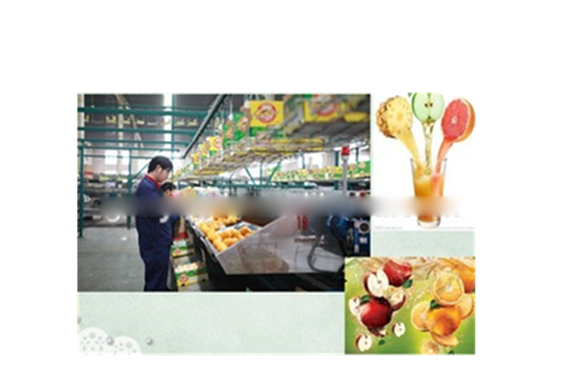 shanghai turkey orange juice processing machine/line