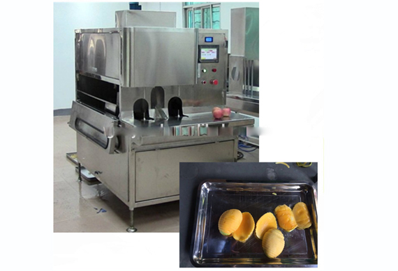 dried mango processing plant