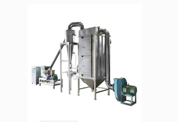 White Dehydrated Onion Powder Making Machine