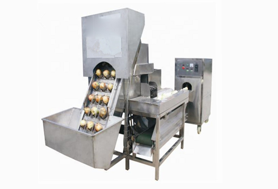 Automatic High Performance Onion Powder Production Line