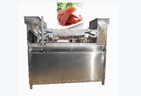 fruit bar making machine