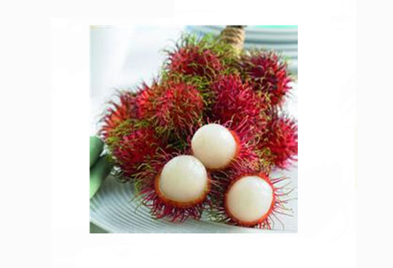 shanghai electric rambutan peeler machine & equipment