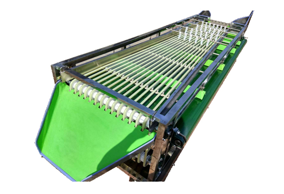 stainless steel fruit sorting machine for sale