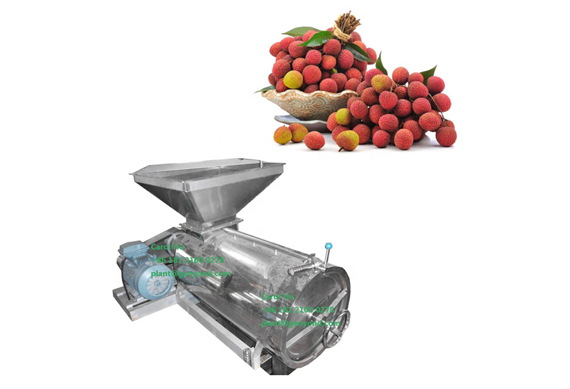 lichi lichee leechee litchi lychee peeling seed removing machine