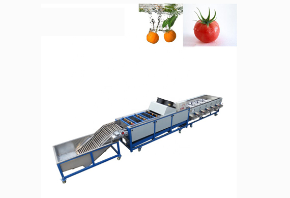 Fruit & Vegetable Washing Drying Waxing Sorting Line Machine Fruits Processing with factory price