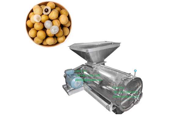 new design longan peeling machine