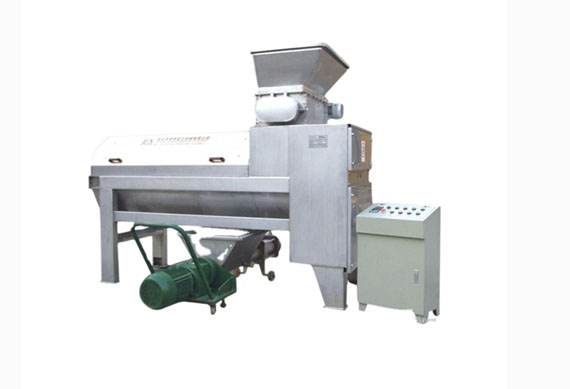 shanghai full-auto canned lychee processing machine