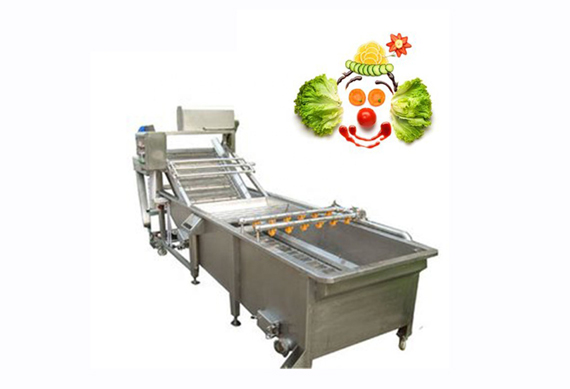 Automatic washing machine vegetable bubble washer