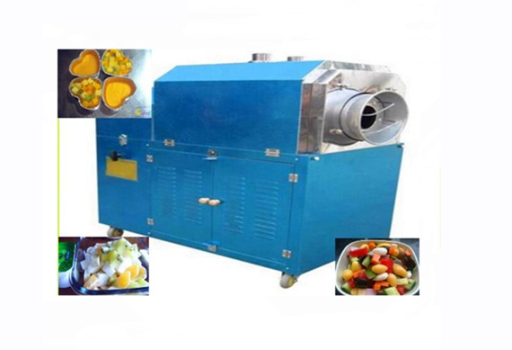 fruit crushing machine