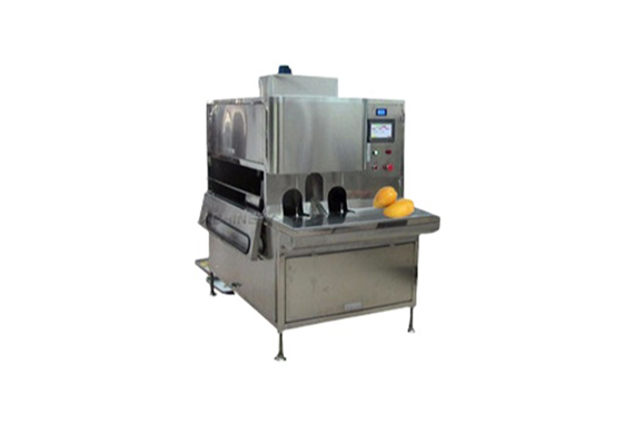4800pcs per hour fresh mango pitting and peeling machine