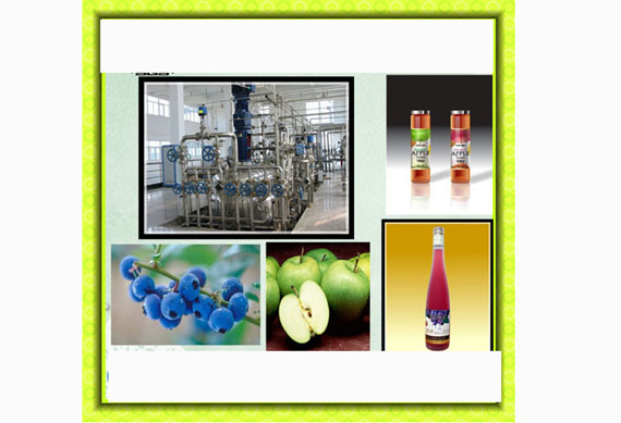 grape vinegar brewing technology and equipment production line