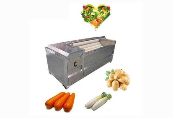 stainless steel radish sweet potato carrot ginger beet washing machine by soft brush