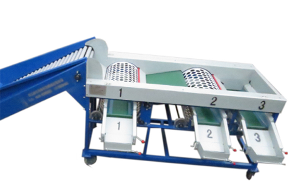 Weighting Dragon Fruit Sorting Machine | Dragon Fruit Grading Machine