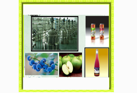 china apple vinegar making machine