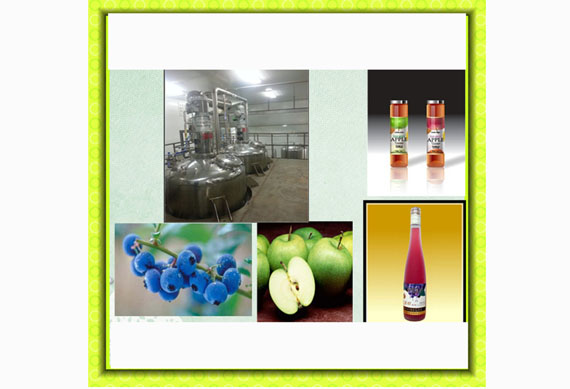 Apple wine pineapple etc fruit industrial juice making machine