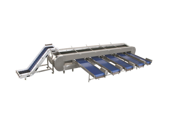 potato sorting machine /potato grading machine