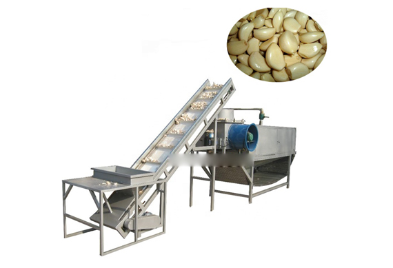 Electric Garlic Peeler/garlic peeling machine/hot selling Industrial Garlic Peele