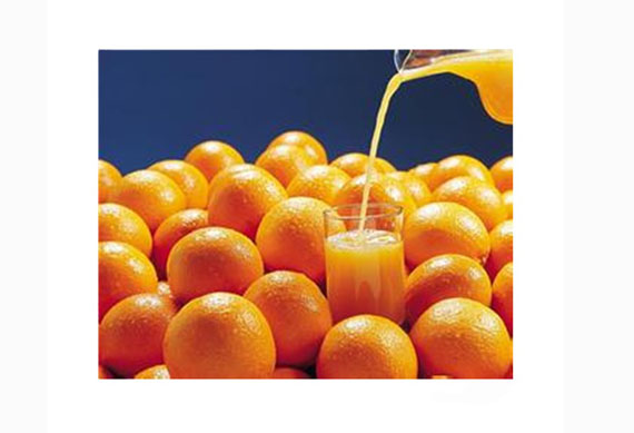 complete small capacity orange juice processing machine