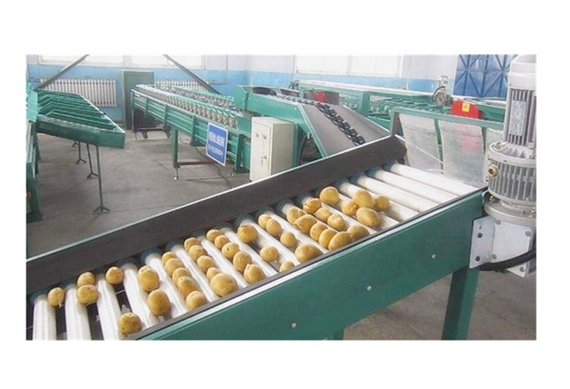 Potato washing/drying/sorting/grading machine