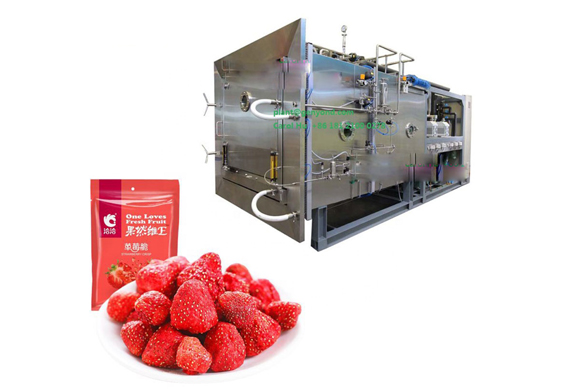 vacuum freeze dried food dragon fruit honey powder instant coffee durian strawberry raspberry flowers roses vegetable machine