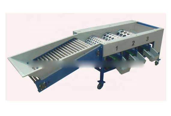 Sorting Grading Machine of Fruits and Vegetables