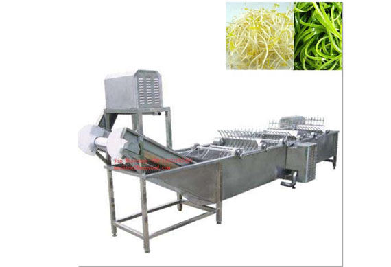 Automatic Fruit and Vegetable Washer/Dried Fruit Washer/Dried Grape Apricot Washing Machine