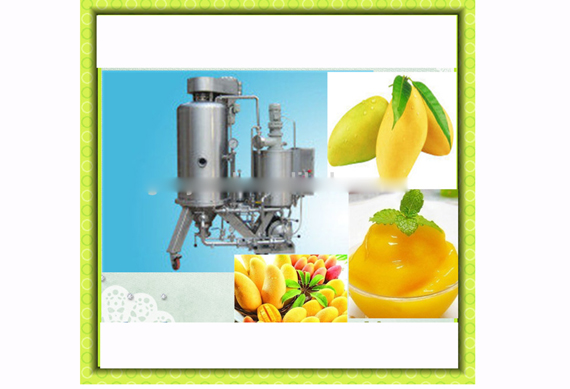 green mango peeling machine, mango peeler labor saving machine