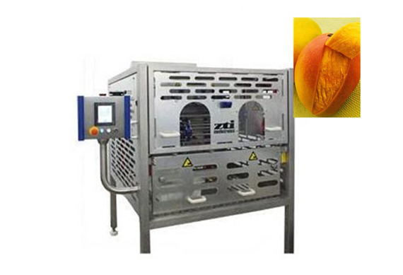 NEW TYPE fruit skin peeling machine/mango peeling machine with advanced design