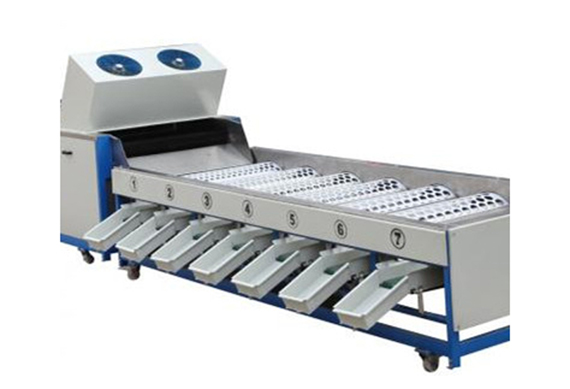 Date palm sorting and cleaning machine/sorting system