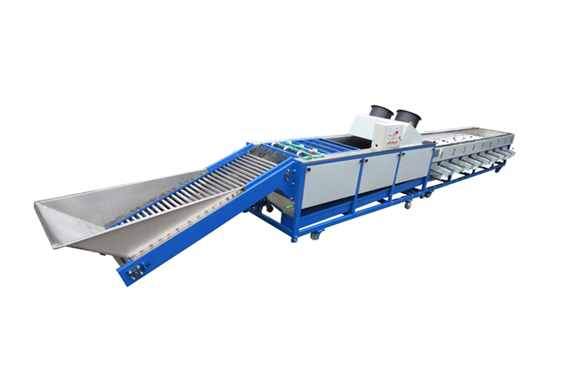 new type automatic multifunctional dates sorting machine