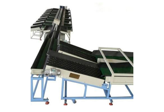 Large capacity onion garlic grading machine process line