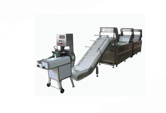 Preserved fruit per-processing/per-breaking machine &equipment