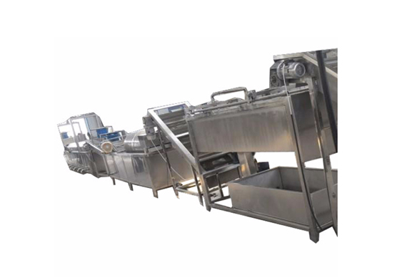 industrial raisin cleaning and sorting line / raisin processing machine