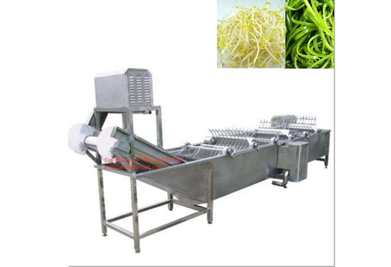 Commercial Vegetable Washer/Air Bubble Vegetable Washing Machine