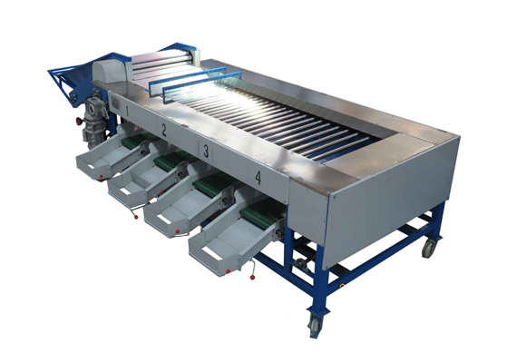 Fruit orange sorting machine apple grading machine price