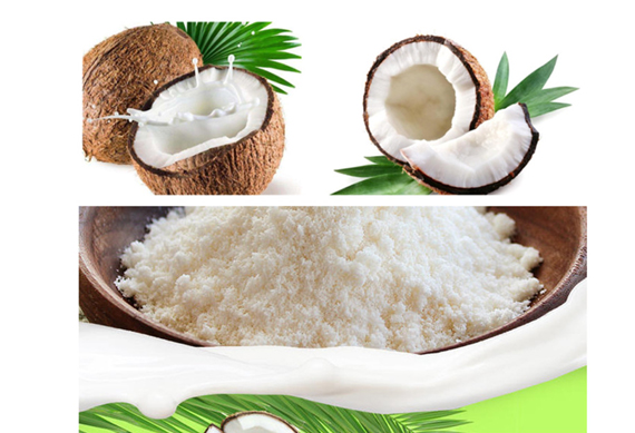 small scale coconut powder making line