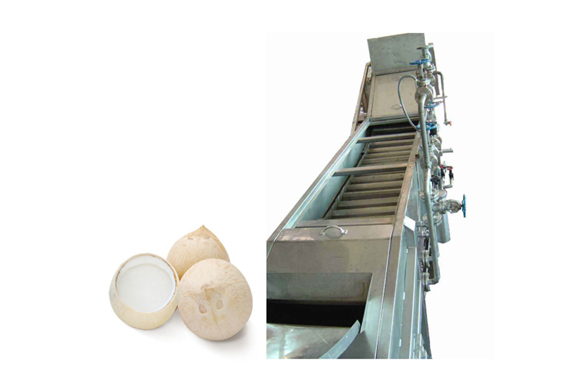 small scale coconut powder making line