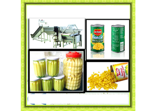 Canned sweet corn baby corn production line processing machines